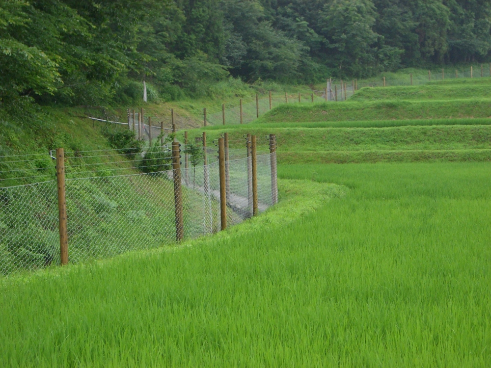 基本写真